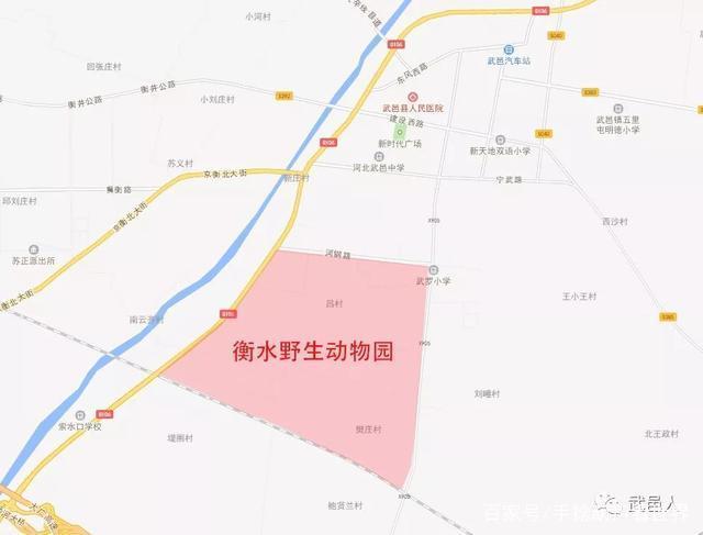 野生動(dòng)物園